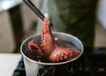 9 Amazing Health Benefits Of Octopus