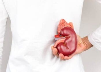 Kidney disease is a major disease affecting individuals