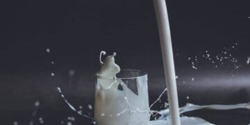 Pouring Over the Facts: How Milk and Dairy Boost Bone Health 16 does milk make your bones stronger