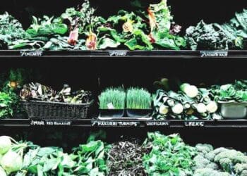 What Green Vegetable Is Bad For Diabetes? 7 Best alternatives