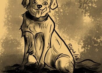 why does rabies cause hydrophobia?